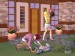 1590-sims2pets_wii_05.jpg